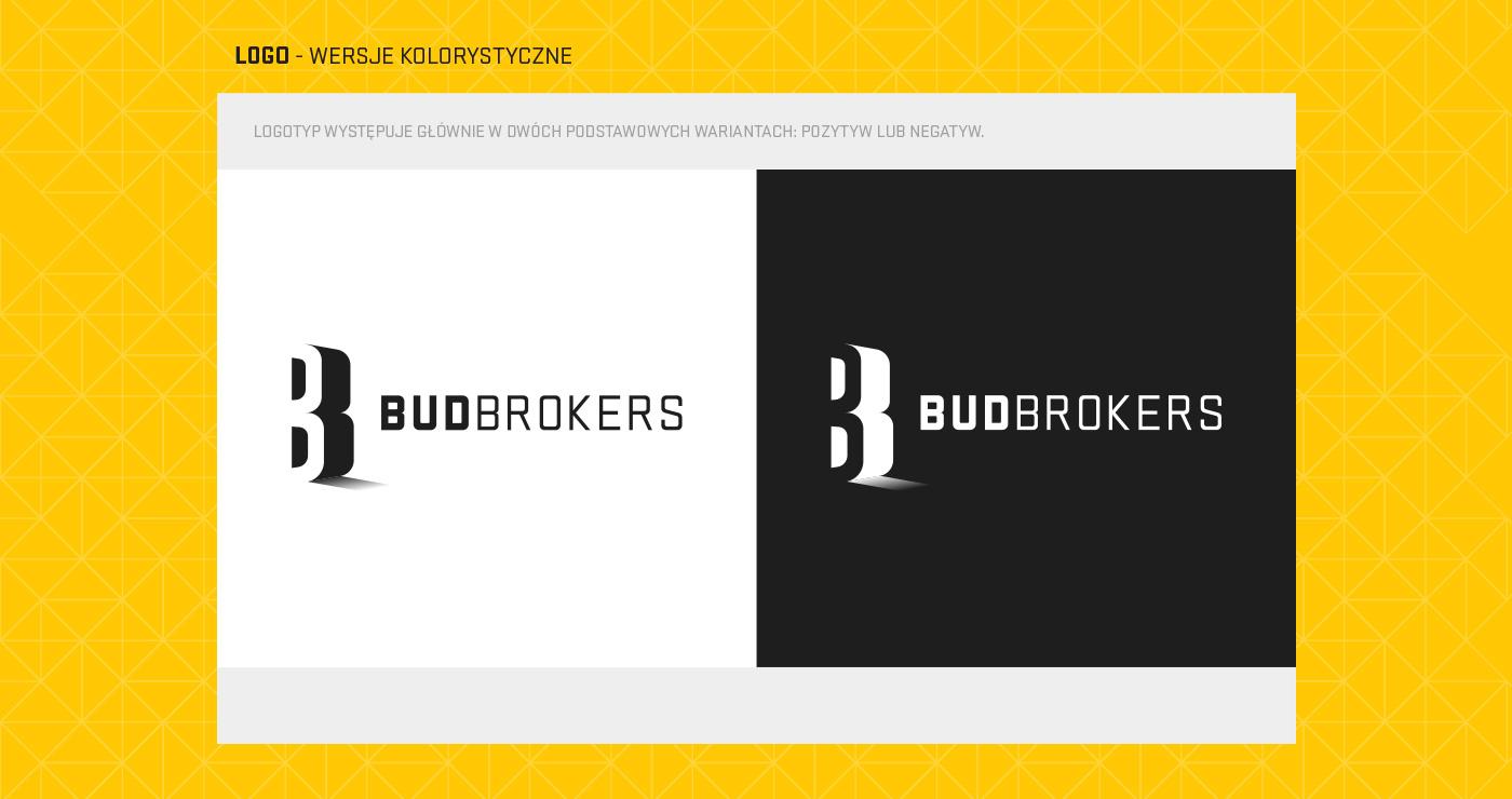 identyfikacja wizualna i strona internetowa BudBrokers